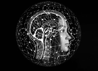 Die unsichtbare Karrierebremse: Wie emotionale Intelligenz über Erfolg oder Stillstand entscheidet Emotionale Intelligenz, Soft Skills und Karriereerfolg Image by Gerd Altmann from Pixabay