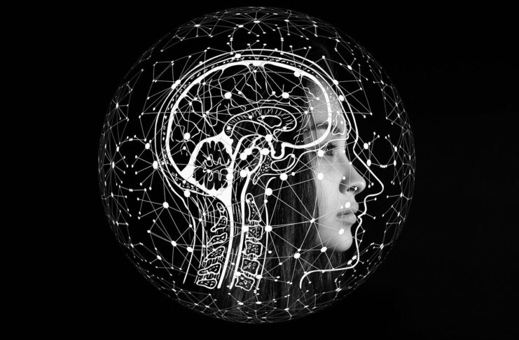 Emotionale Intelligenz, Soft Skills und Karriereerfolg Image by Gerd Altmann from Pixabay