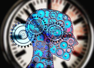 Abschied von der 40-Stunden-Woche: Wie flexible Arbeitszeitmodelle Produktivität neu definieren Flexible Arbeitszeitmodelle wie die Vier-Tage-Woche verändern Arbeit. Warum weniger Stunden oft mehr Produktivität bedeuten. Image by Gerd Altmann from Pixabay