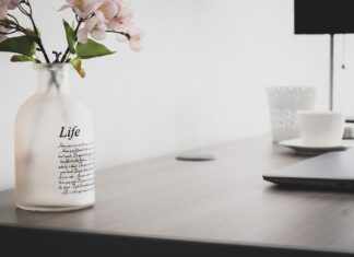 Fokus statt Reizüberflutung: Wie digitale Achtsamkeit Stress reduziert Digitale Achtsamkeit und Stressreduktion im Job Bild von Luis Ricardo Rivera auf Pixabay