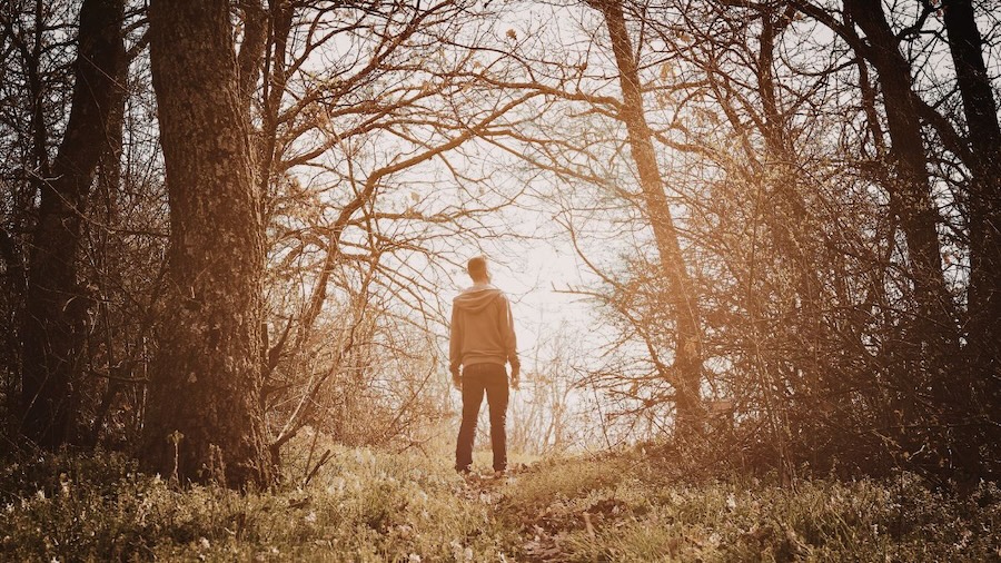 Selbstständigkeit zwischen Stille und Unternehmertum mann im wald